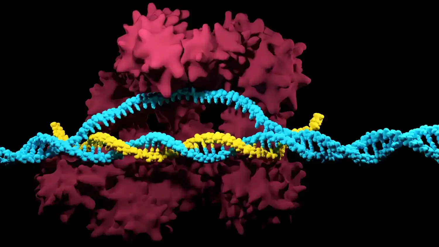 עריכת DNA